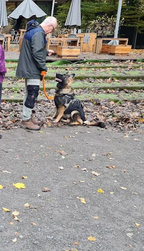 Uniwersytet Szczęśliwego Psa - Szkolenie psów Opole | Behawiorysta Opole